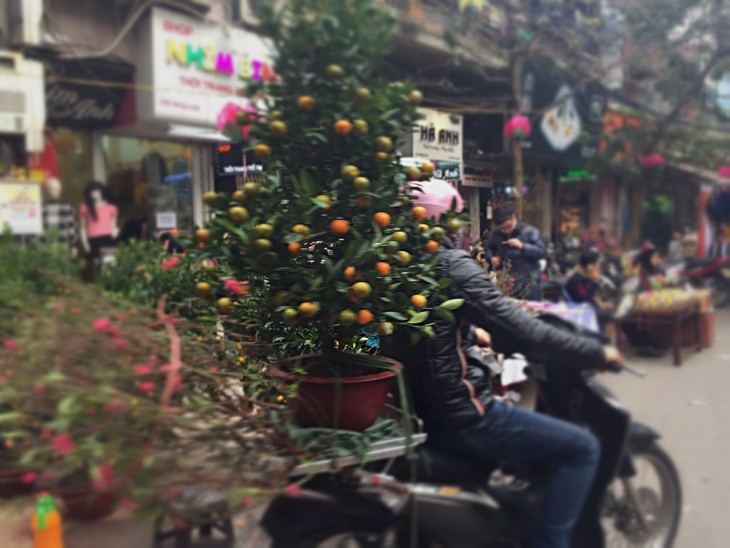 Hang Luoc Flower Market in Hanoi's Old Quarter - ảnh 12